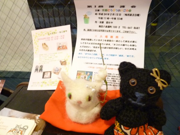 にゃんでいねこまや&京都どうぶつあいごの会の保護猫の譲渡会のおしらせ 