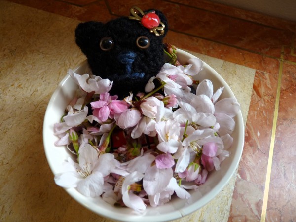 桜の花びら風呂に入るハナウターシャ