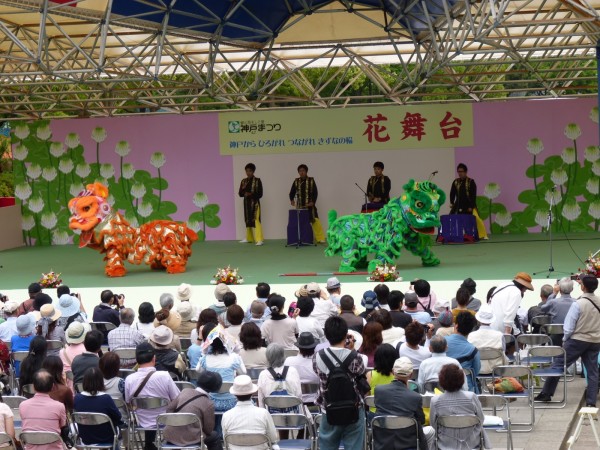 2012年神戸祭りの獅子16連