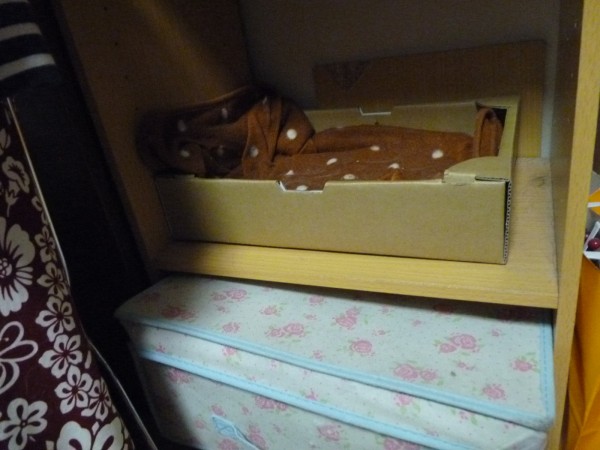 ピントが潜り込んだボロ切れケースの上の猫ベッド