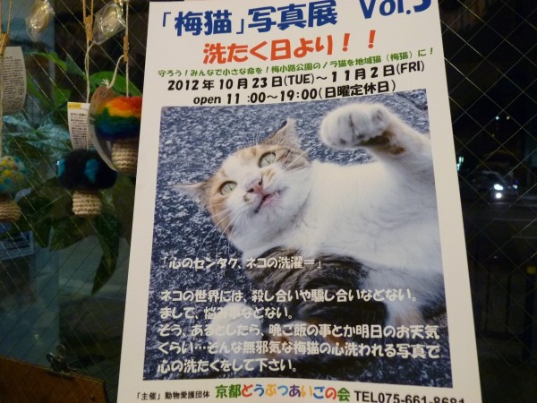 『梅猫写真展Vol.3 洗たく日より!!』2012年10月23日から11月2日まで!