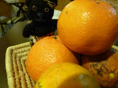 因幡薬師の手づくり市で買ってきてもらった柑橘♪