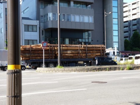 きょうの一台 大きな木を積んだトラック