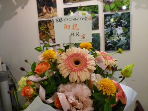 『梅猫写真展』にお花が届きました♪