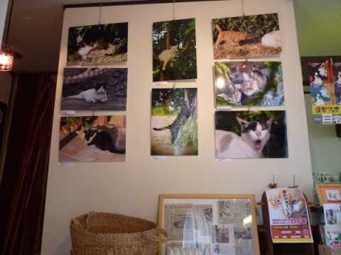 『梅猫写真展vol.4』展示の様子。厨房側西壁面