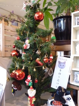 キトゥンカンパニーに飾ったクリスマスツリー♪