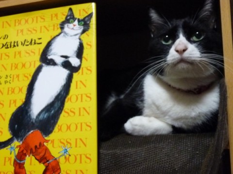 本と猫、『ガルドンの、ながぐつをはいたねこ』とサスケ