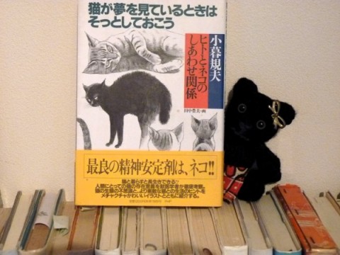 『ねこを読む』で読める本、猫が夢を見ているときはそっとしておこう