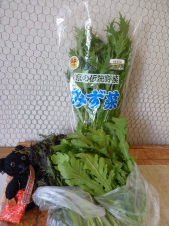 辻さんの野菜に水菜や菊菜が出てきました