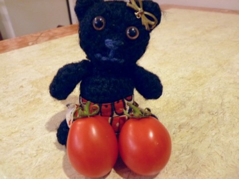 トマトの収穫♪ from 星野さんの麻袋栽培セット