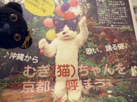 むぎ（猫）ちゃんの京都公演が決まりました！