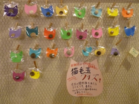 猫毛祭りin京都 猫毛玉クイズ！超難問です。