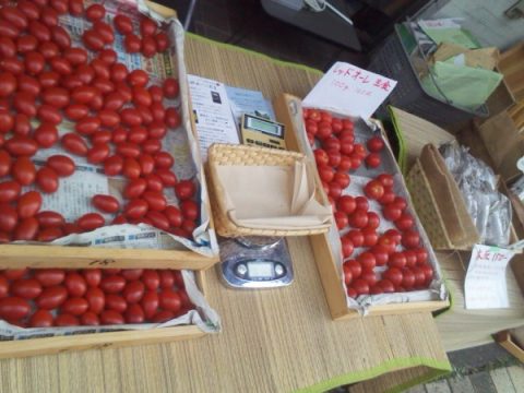 2016年7月23日トマトの星野さんの出店・昼下がりスモールマーケット