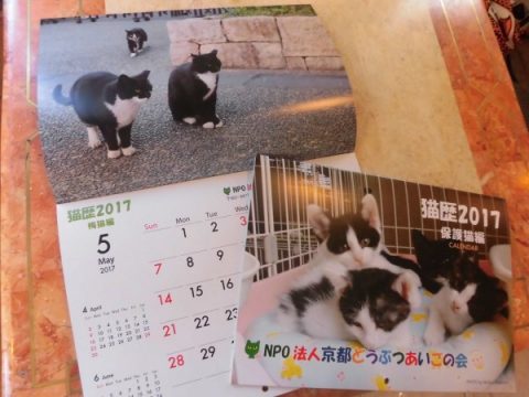 2017年の梅猫カレンダーが届きました♪