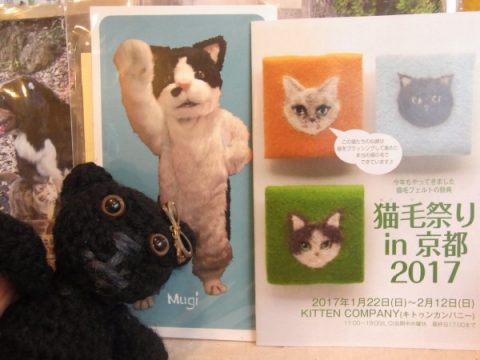 むぎ（猫）ちゃんショーが猫毛祭りin京都2017で開催♪ 