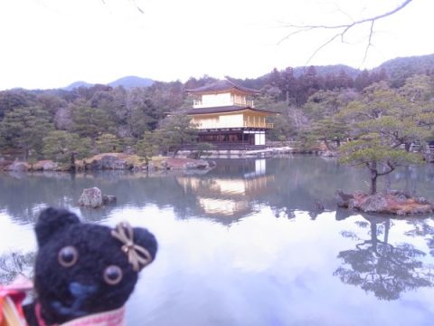 鏡湖池から望む金閣寺