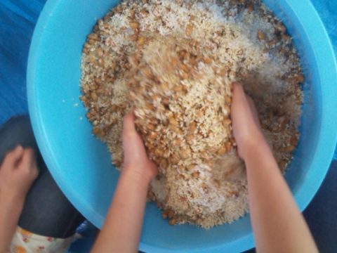 堀田さんの味噌教室 みずくぐり大豆と麹と塩を混ぜる
