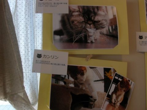 『NEKO+ねこひげスタンド写真展』ご来場 リエール、カンリン