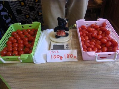 鍬人・星野さんのトマト2種類：スワンマーケット