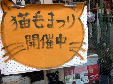 猫毛祭りin京都2018スタート！