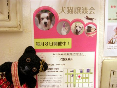 因幡薬師で開催される犬猫譲渡会は毎月8日