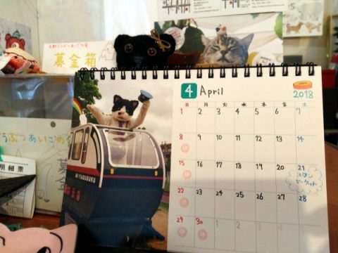 むぎ（猫）ちゃん卓上カレンダー2018